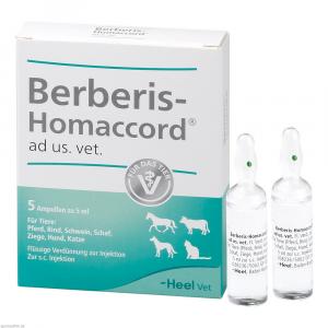 BERBERIS HOMACCORD ad us.vet.Ampullen