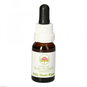 BILLY GOAT Plum austr.Bushblüte Tropfen