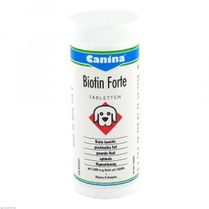 BIOTIN FORTE Tabletten vet.