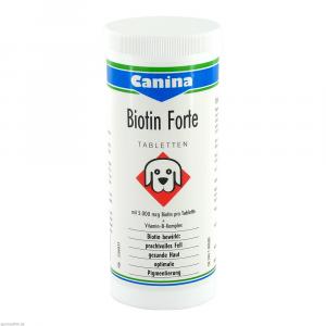 BIOTIN FORTE Tabletten vet.