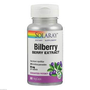 BLAUBEERE Heidelbeere Extrakt Solaray Kapseln
