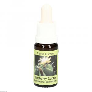 BLUE BERRY Cactus Essenz Tropfen