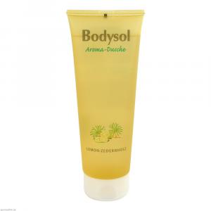 BODYSOL Aroma Duschgel Lemon Zedernholz