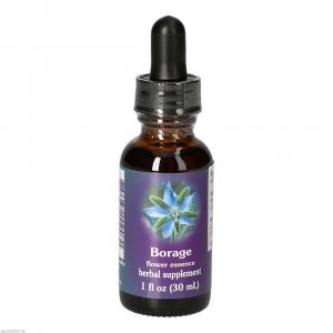 BORAGE FES kalifornische Blütenessenz Tropfen