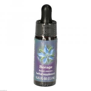 BORAGE FES kalifornische Blütenessenz Tropfen
