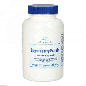 BOYSENBERRY Extrakt Junek Kapseln