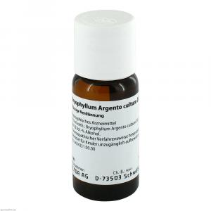 BRYOPHYLLUM ARGENTO cultum D 2 Dilution