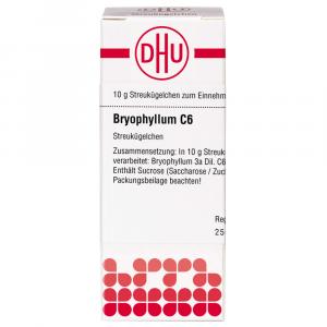 BRYOPHYLLUM C 6 Globuli Ind.Fert.