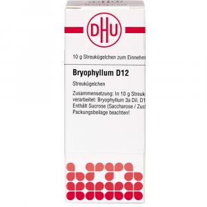 BRYOPHYLLUM D 12 Globuli