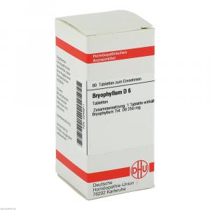 BRYOPHYLLUM D 6 Tabletten