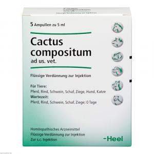 CACTUS COMPOSITUM ad us.vet.Ampullen
