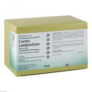 CACTUS COMPOSITUM ad us.vet.Ampullen
