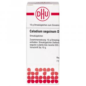 CALADIUM SEGUINUM D 20 Globuli Ind.Fert.