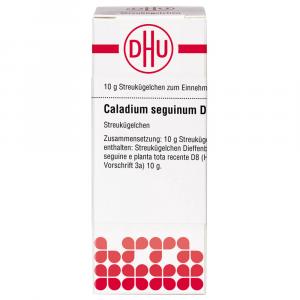 CALADIUM SEGUINUM D 8 Globuli Ind.Fert.