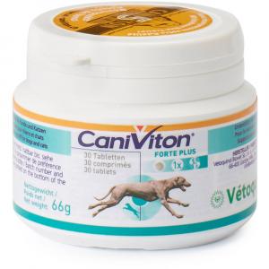 CANIVITON Forte Plus Erg.Futterm.Tbl.f.Hund/Katze