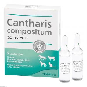 CANTHARIS COMPOSITUM ad us.vet.Ampullen