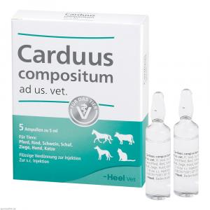 CARDUUS COMPOSITUM ad us.vet.Ampullen
