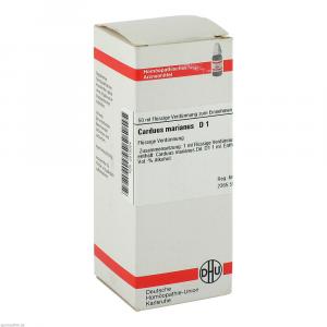 CARDUUS MARIANUS D 1 Dilution