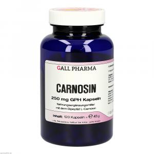 CARNOSIN 250 mg GPH Kapseln