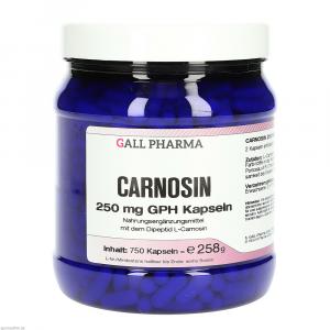 CARNOSIN 250 mg GPH Kapseln