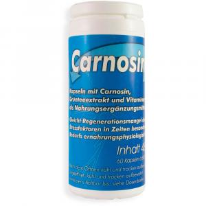 CARNOSIN Plus Kapseln