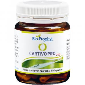 CARTIVOPRO 250 mg Hyaluron Kapseln