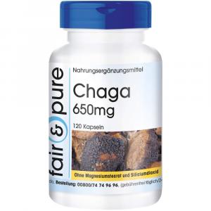 CHAGA 650 mg Kapseln