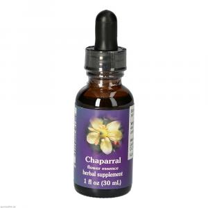 CHAPARRAL FES kalifornische Blütenessenz Tropfen