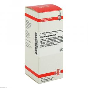 CHELIDONIUM EXTERN