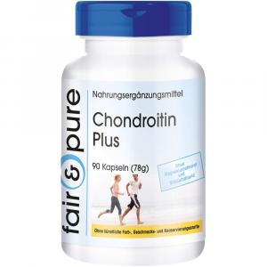 CHONDROITIN PLUS Kapseln