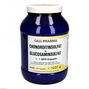CHONDROITINSULFAT+Glusosaminsulfat 1:1 GPH Kapseln