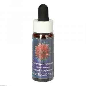 CHRYSANTHEMUM FES kalifornische Blütenessenz Tro.
