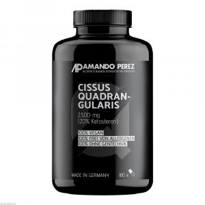 CISSUS QUADRANGULARIS Extrakt 2500 mg vegan Kaps.