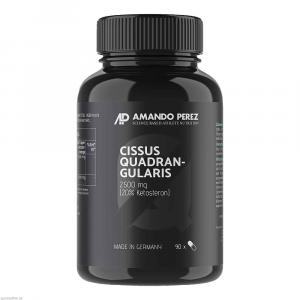 CISSUS QUADRANGULARIS Extrakt 2500 mg vegan Kaps.