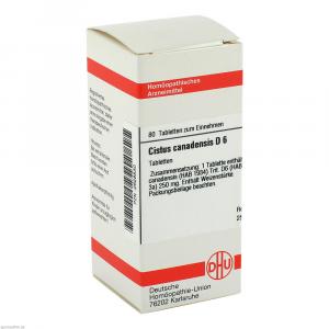 CISTUS CANADENSIS D 6 Tabletten