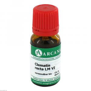 CLEMATIS RECTA LM 6 Dilution
