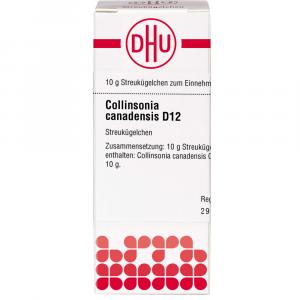 COLLINSONIA CANADENSIS D 12 Globuli