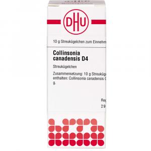 COLLINSONIA CANADENSIS D 4 Globuli