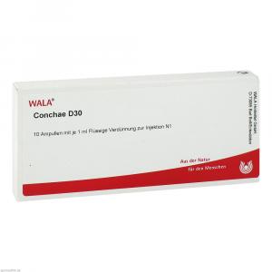 CONCHAE GL D 30 Ampullen