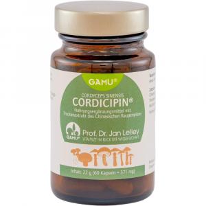 CORDICIPIN Kapseln