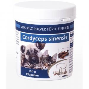 CORDYCEPS VITALPILZ Pulver für Tiere