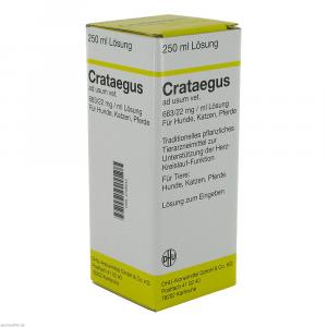 CRATAEGUS Dilution vet.