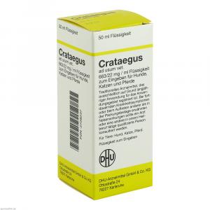 CRATAEGUS Dilution vet.