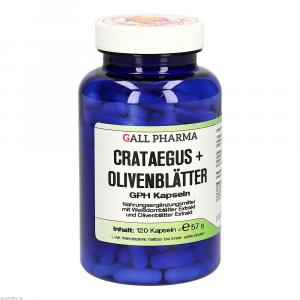 CRATAEGUS+OLIVENBLÄTTER GPH Kapseln