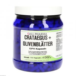 CRATAEGUS+OLIVENBLÄTTER GPH Kapseln