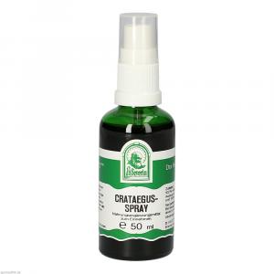 CRATAEGUS SPRAY