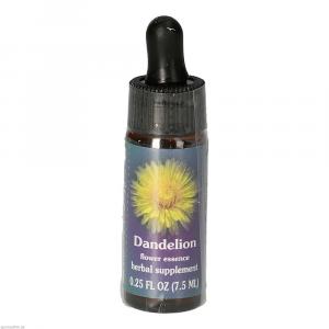 DANDELION FES kalifornische Blütenessenz Tropfen