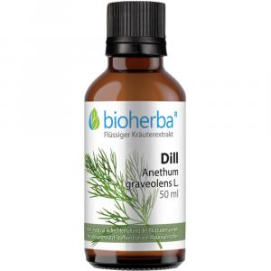 DILL ANETHUM graveolens L.Tinktur
