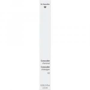 DR.HAUSCHKA Concealer 02 chestnut