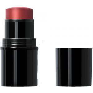 DR.HAUSCHKA Lip to Cheek 02 red